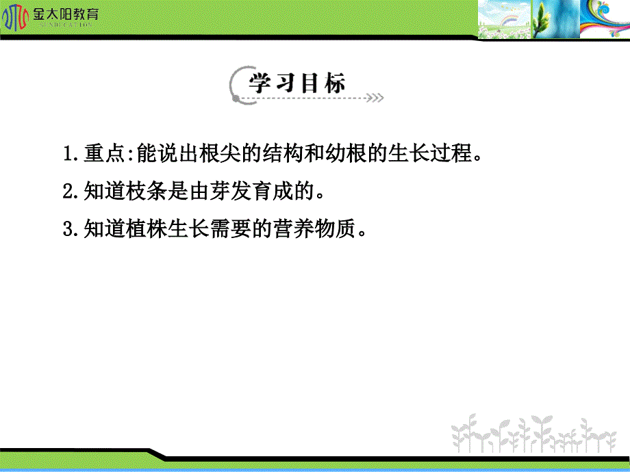 《植株的生长》导学案_第2页