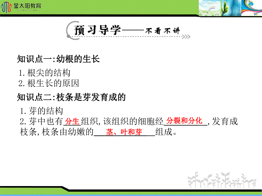 《植株的生长》导学案_第3页