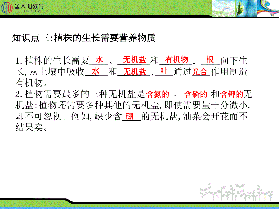 《植株的生长》导学案_第4页