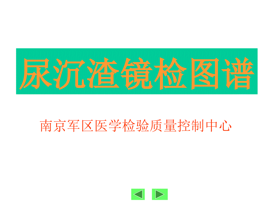 尿沉渣图谱_第1页