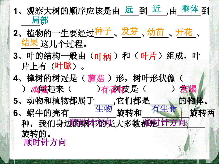 三上科学第一、二单元复习.ppt_第2页