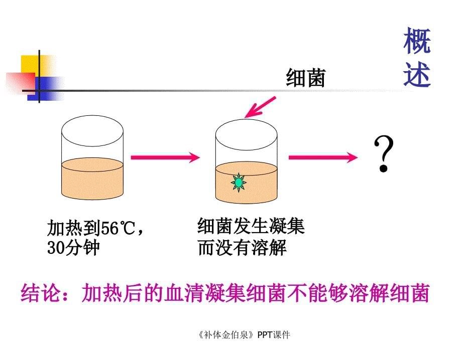 补体金伯泉课件_第5页