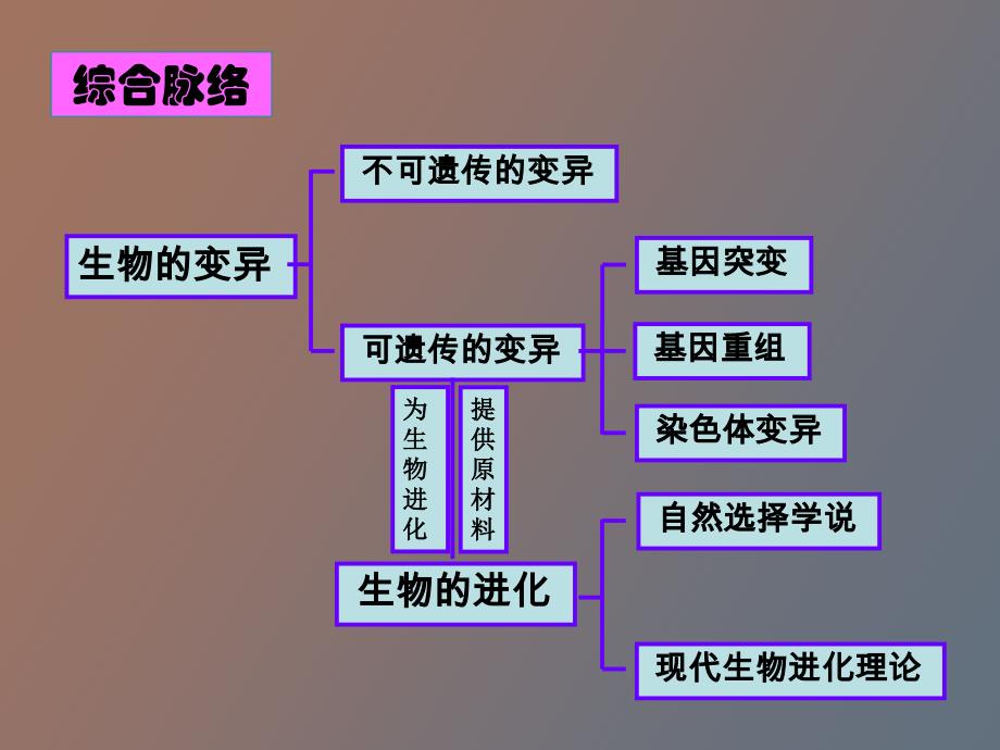 生物的进化复习_第3页