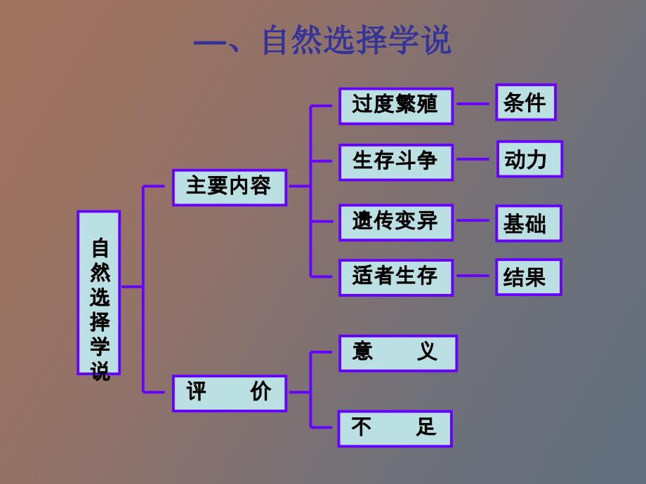 生物的进化复习_第4页