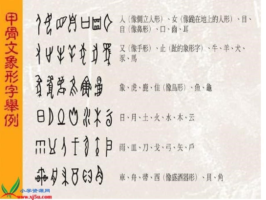 苏教版二年级语文下册《识字3_2》PPT课件_第5页