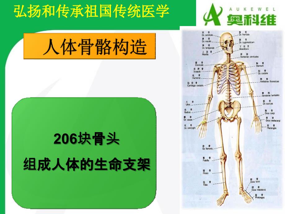 红外灯针对骨关节使用ppt课件_第2页