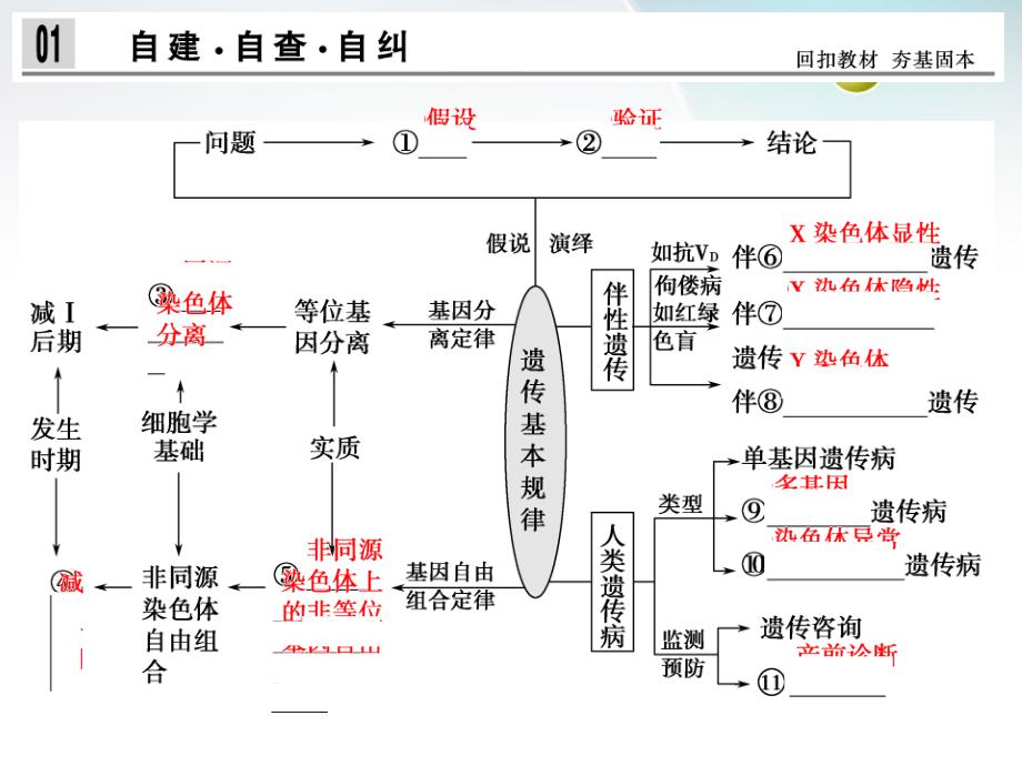 高三生物二轮冲刺专题查补专题4第2讲孟德尔定律伴性遗传及人类遗传病与健康课件_第2页