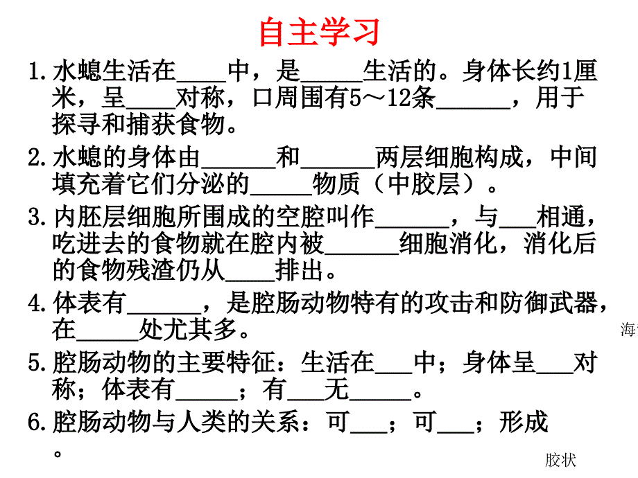 腔肠动物和扁形动物_第3页