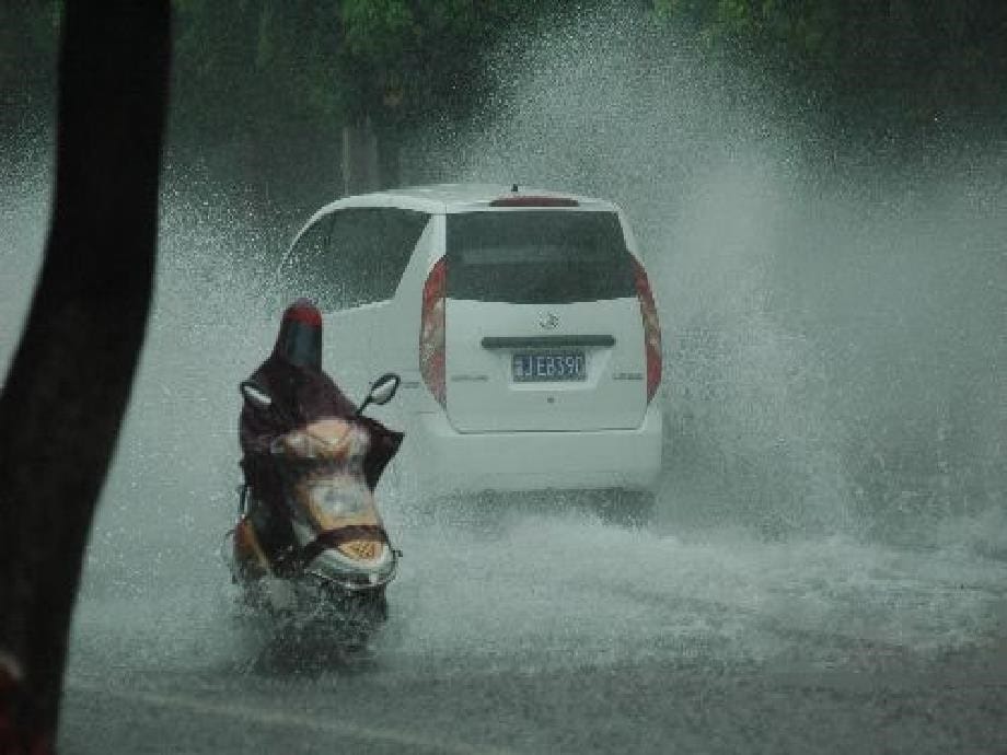 六年级语文下册暴风雨的启示课件西师大版_第5页