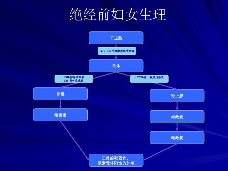 乳腺癌的辅助内分泌治疗_第5页