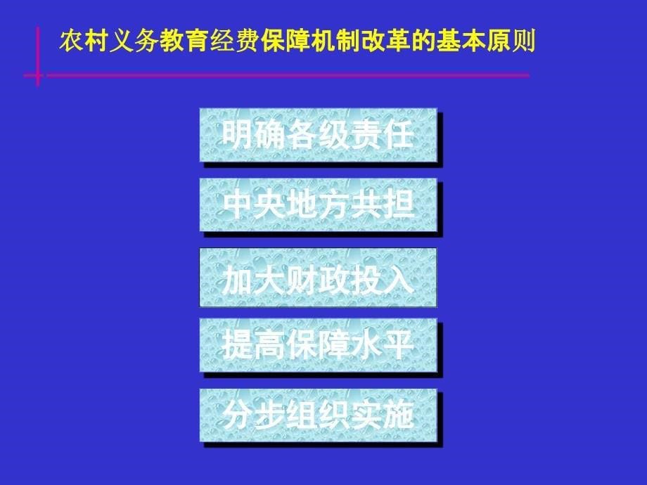 农村义务教育学校预算编制辅导讲义_第5页