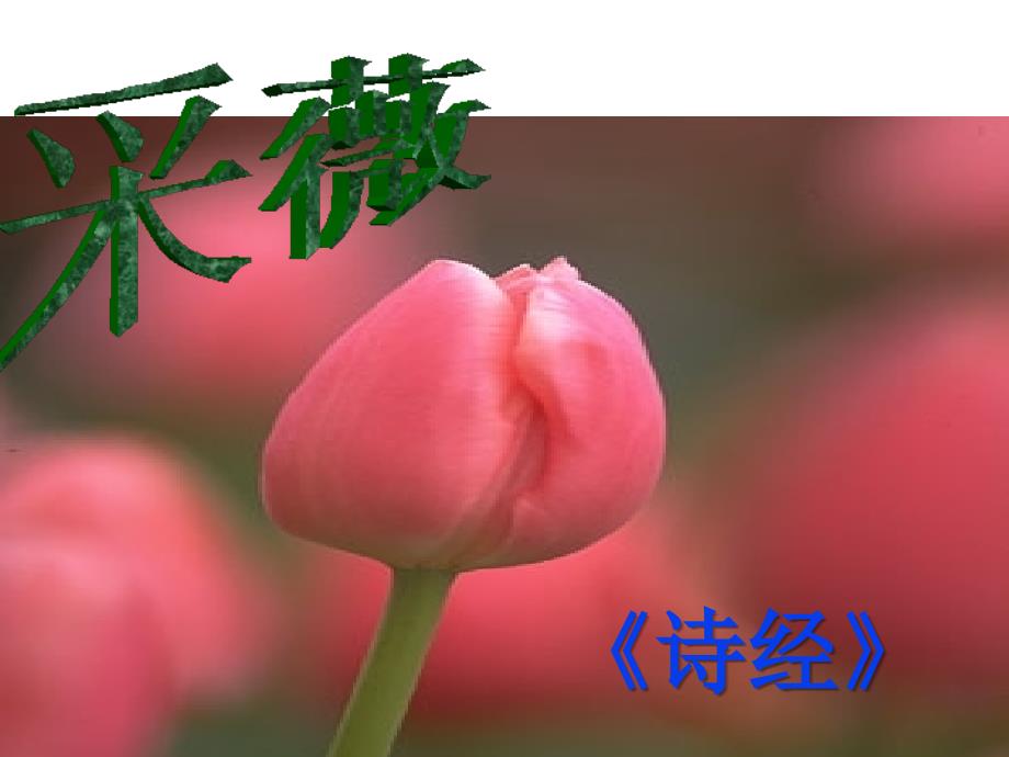 高中二年级语文必修1第一课时课件_第1页