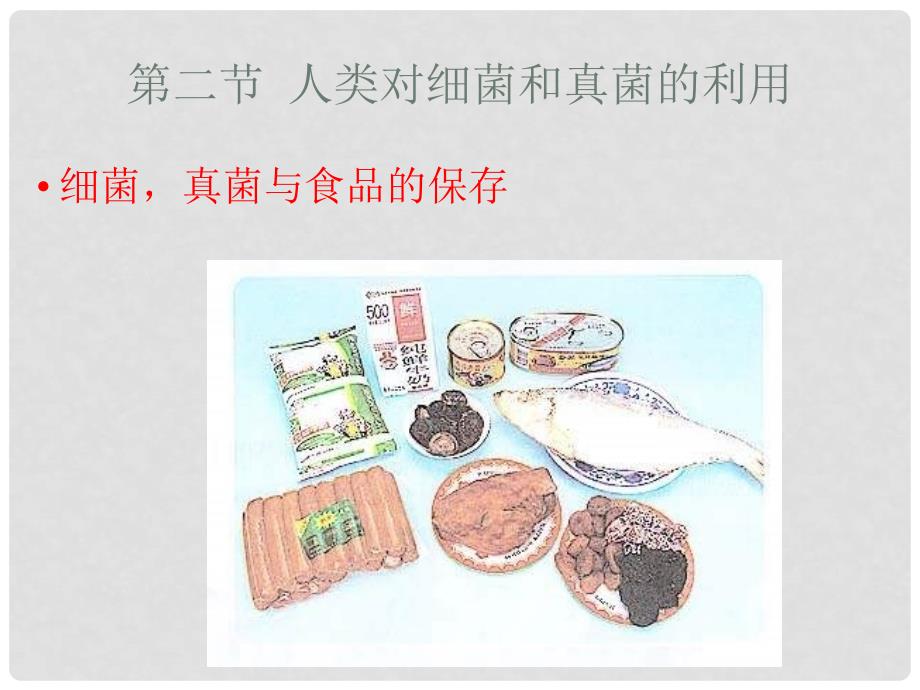 八年级生物人类对细菌和真菌的利用1课件_第4页