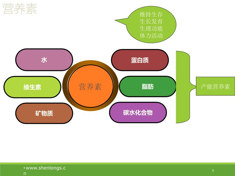 （优质课件）肿瘤患者营养宣教_第3页