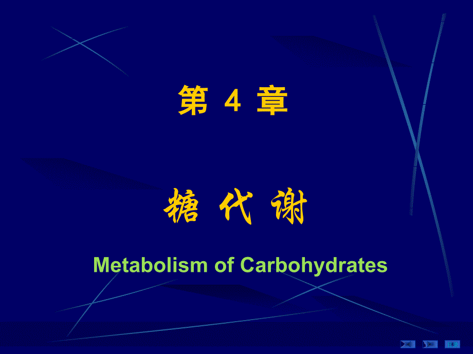 第04章糖代谢_第1页