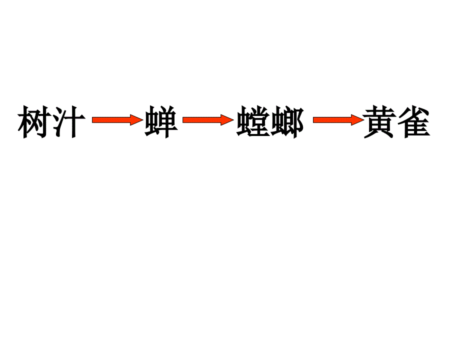 五年级上册科学课件－1.5食物链和食物网 ｜教科版 (共11张PPT)_第3页