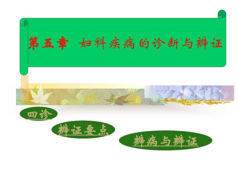 妇科疾病的诊断与辨证.ppt_第2页