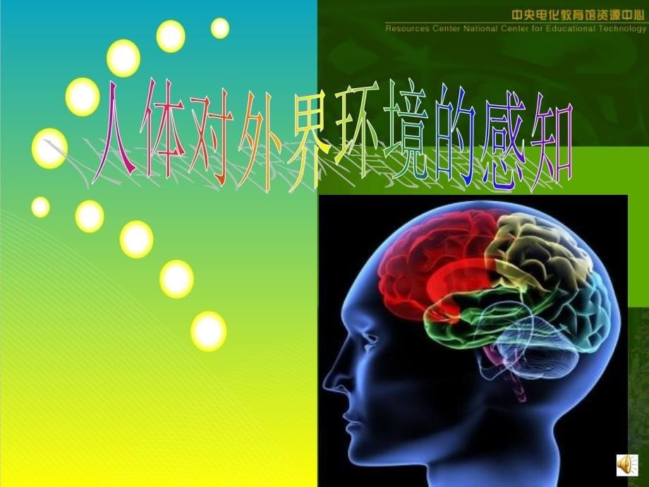 人体对外界环境的感知(完成)_第5页