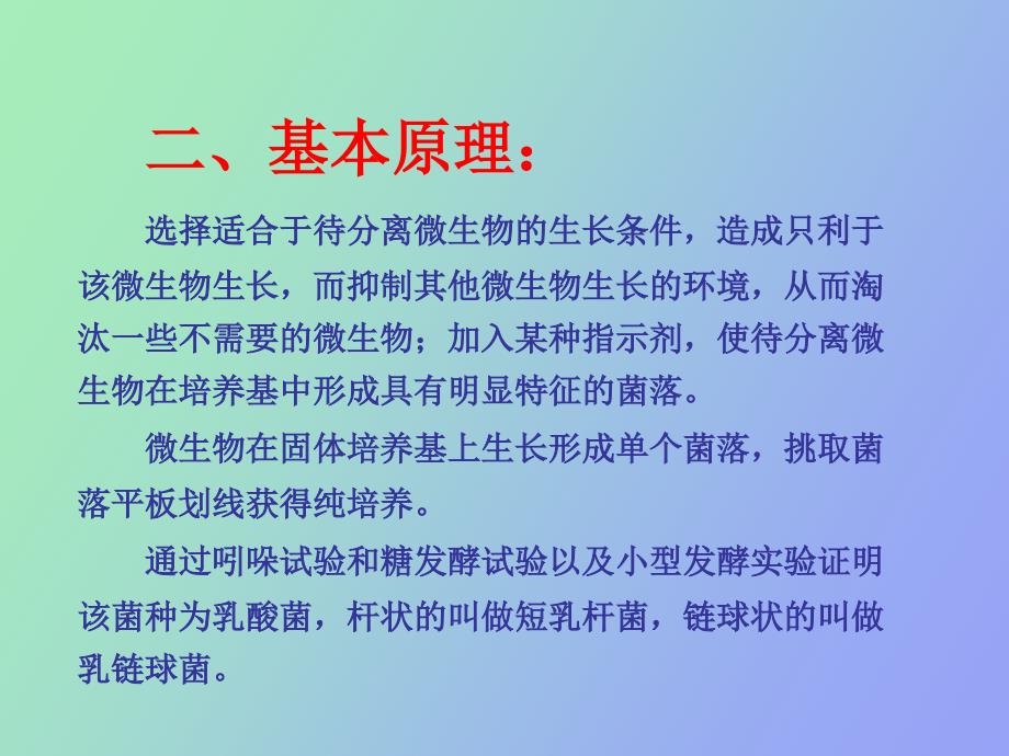 微生物学实验技术乳酸菌的分离与纯化_第2页