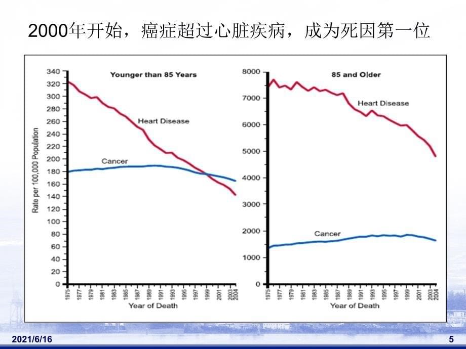 癌症三级预防_第5页