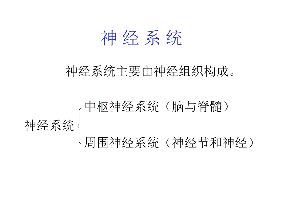 神经系统参PPT课件_第1页