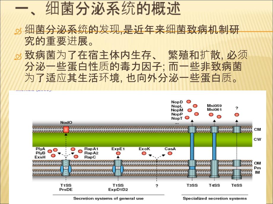 细菌III型分泌系统_第3页