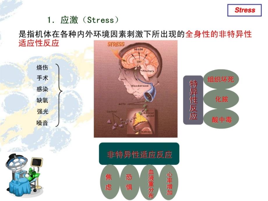 精品右美托咪定综述ppt课件_第3页