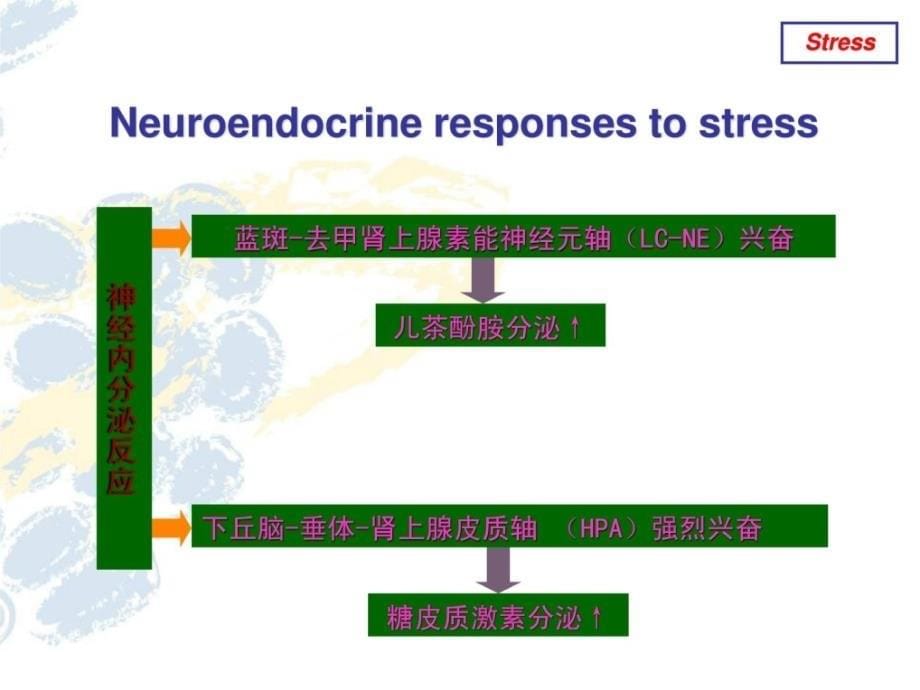 精品右美托咪定综述ppt课件_第5页