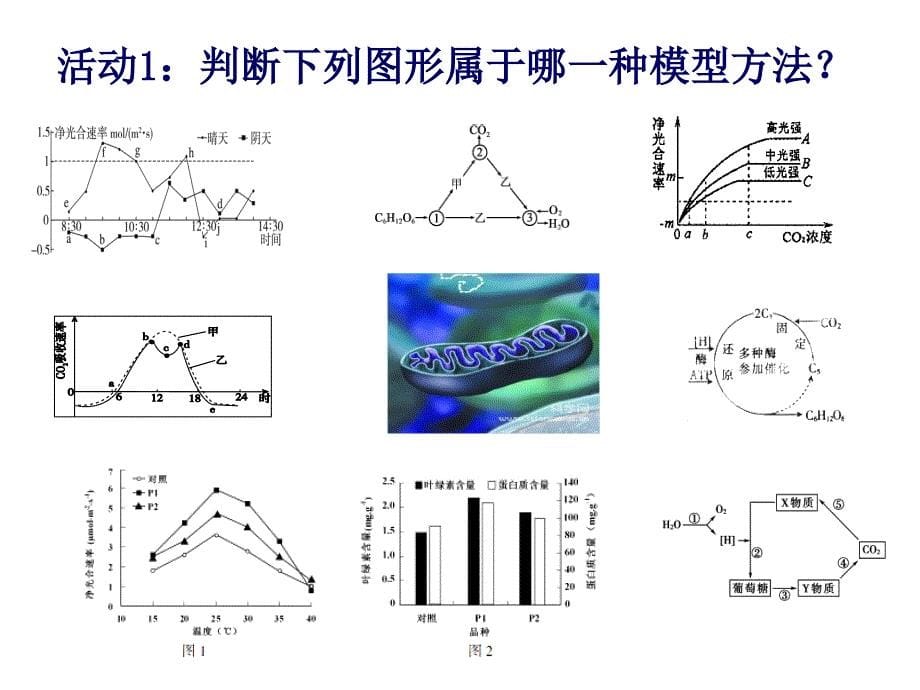 光合作用和呼吸作用复习课_第5页