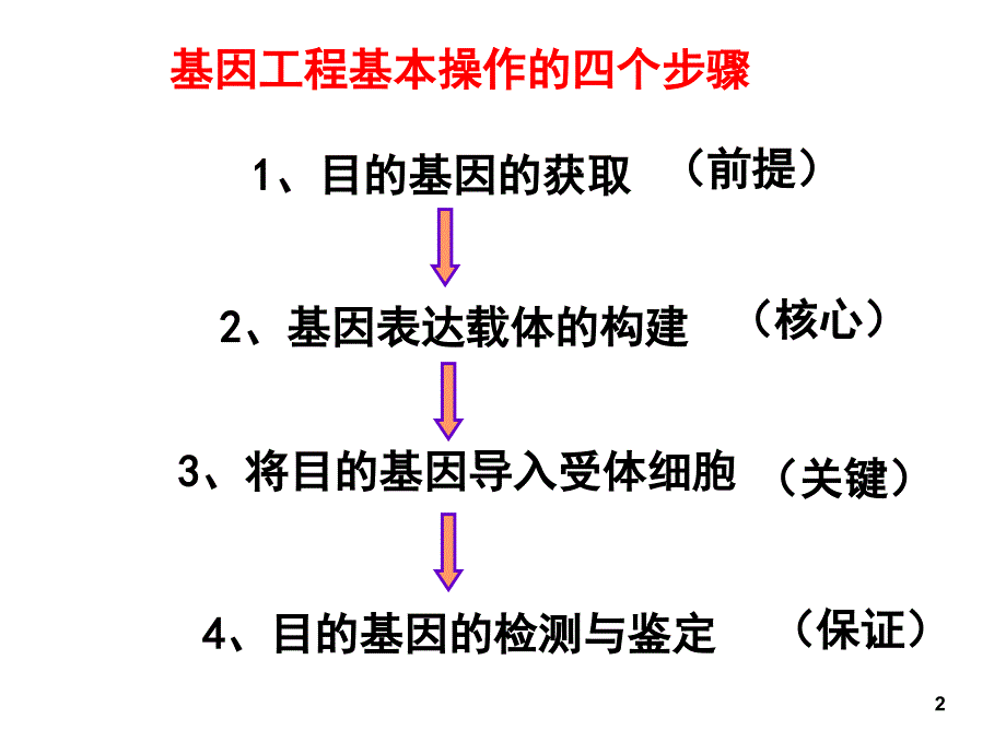 基因工程的基本操作程序课堂PPT_第2页