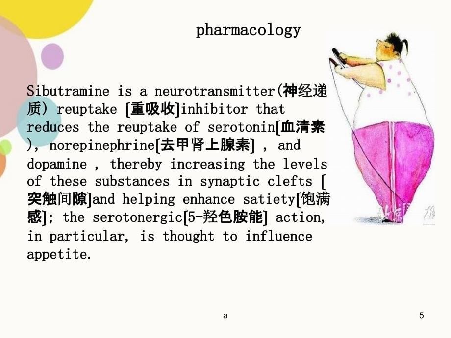 药学英语之减肥药原理讲解_第5页