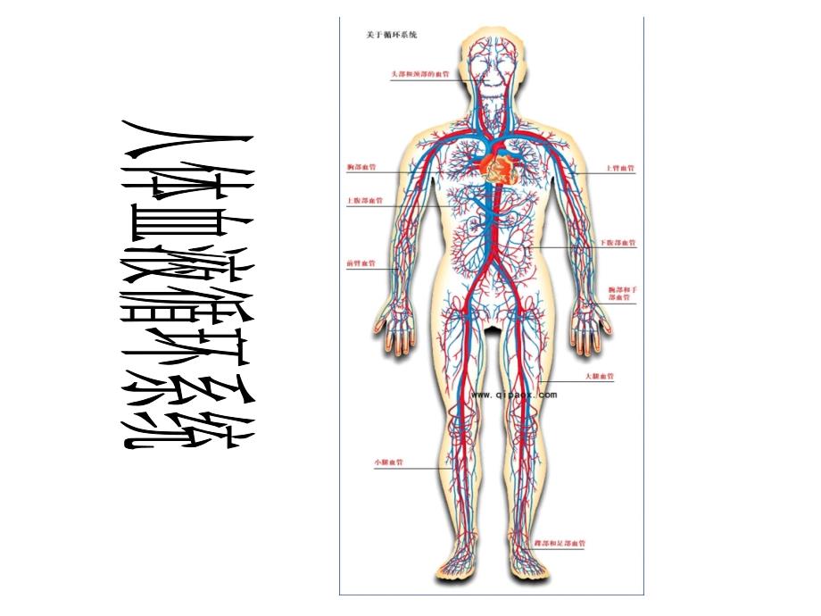 运动起来会怎样_第2页