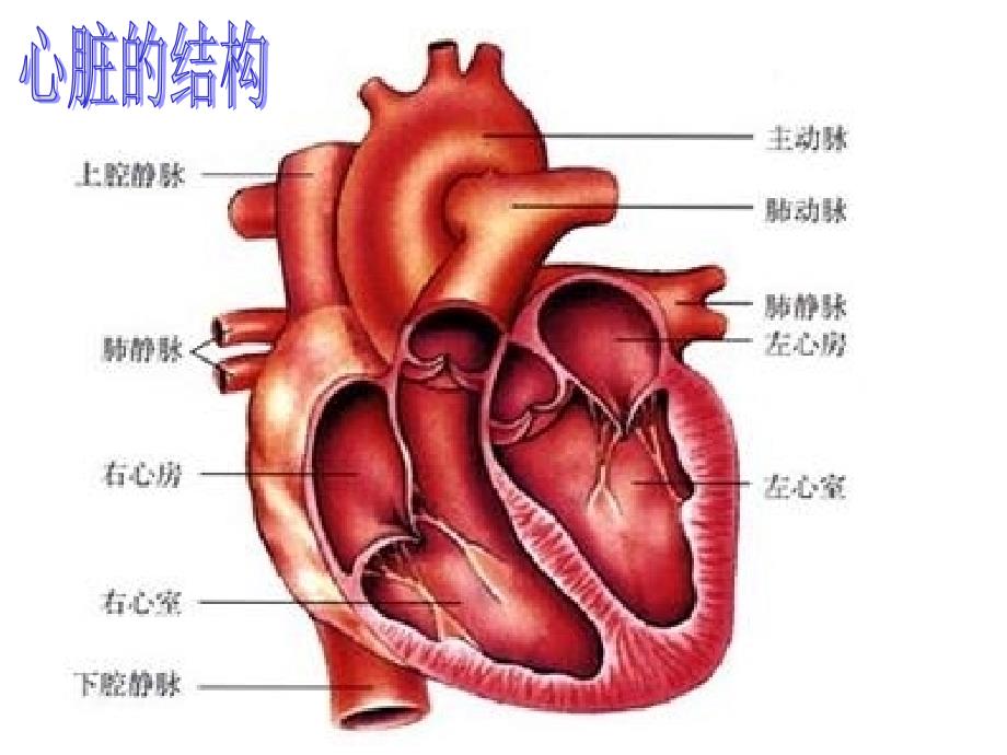 运动起来会怎样_第4页