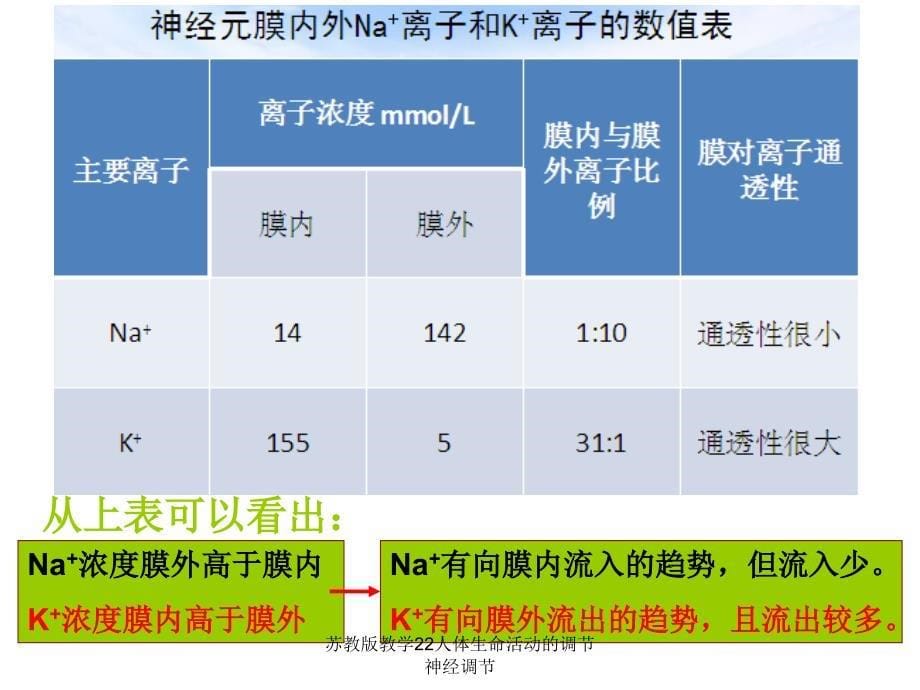 苏教版教学22人体生命活动的调节神经调节_第5页