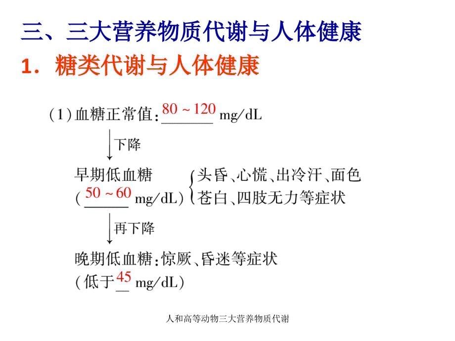 人和高等动物三大营养物质代谢课件_第5页