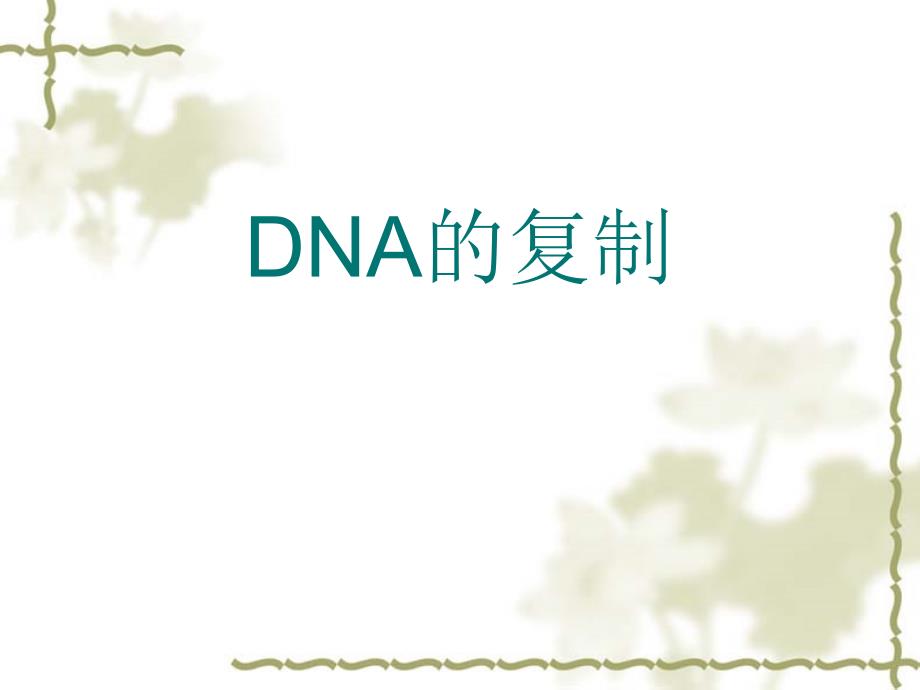 高中生物必修二DNA复制_第1页