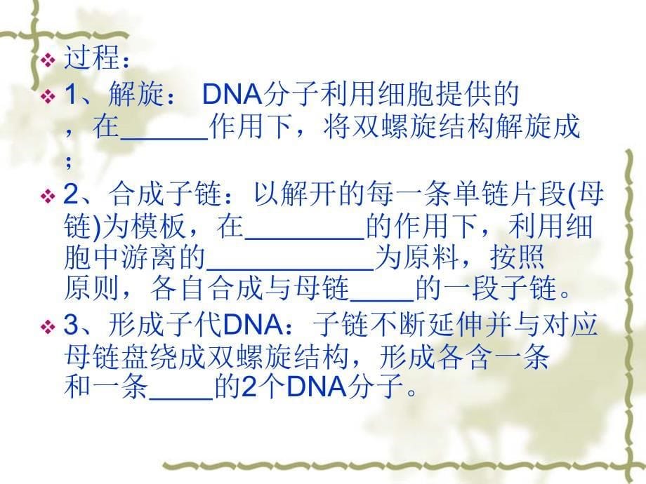 高中生物必修二DNA复制_第5页