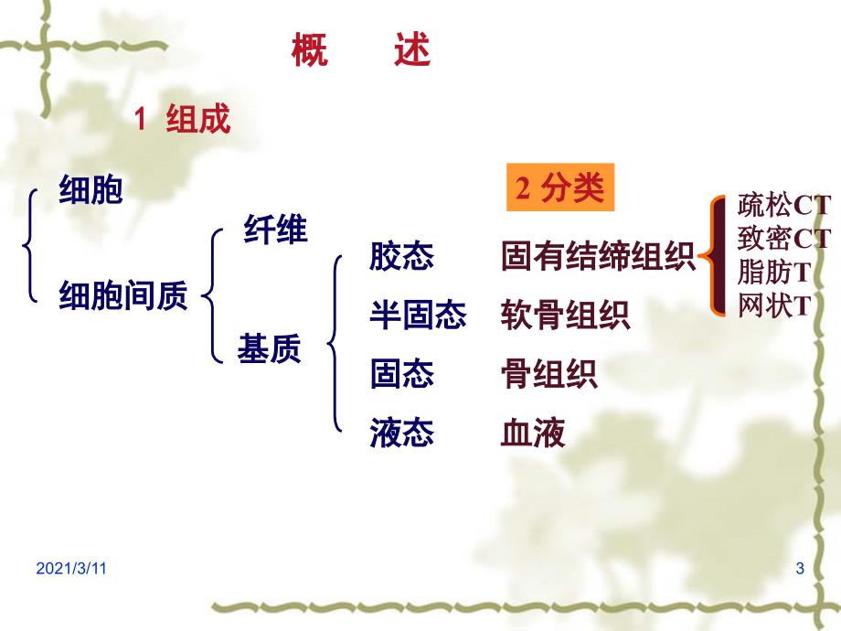 第3讲-固有结缔组织_第3页