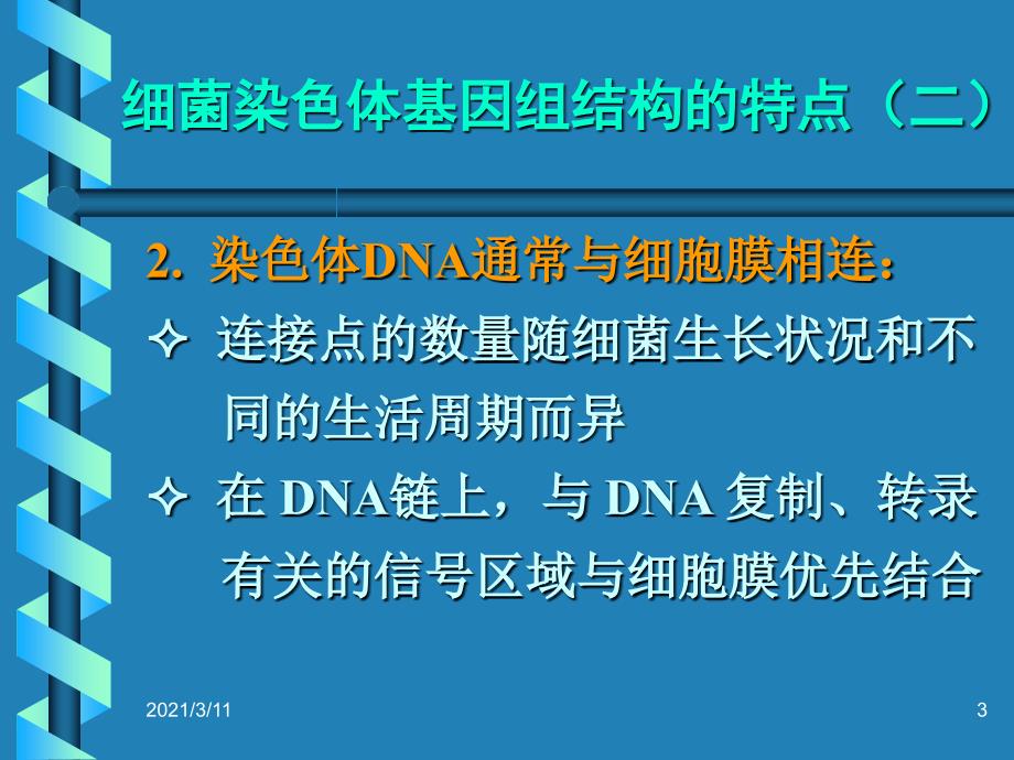 细菌基因组结构与功能_第3页