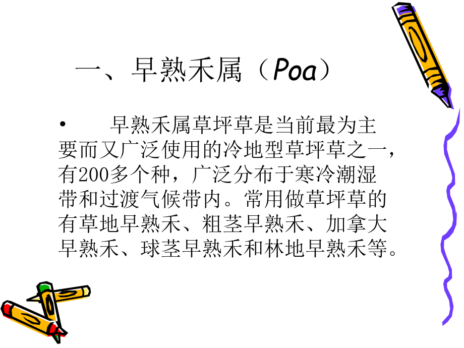 我国常见的草坪草课件.ppt_第3页