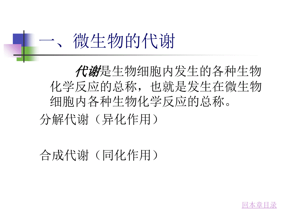 微生物的代谢与发酵控制_第4页