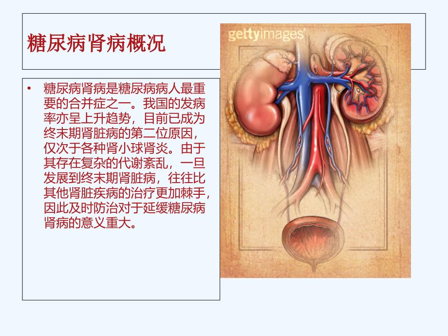 糖尿病肾病精品课件_第3页