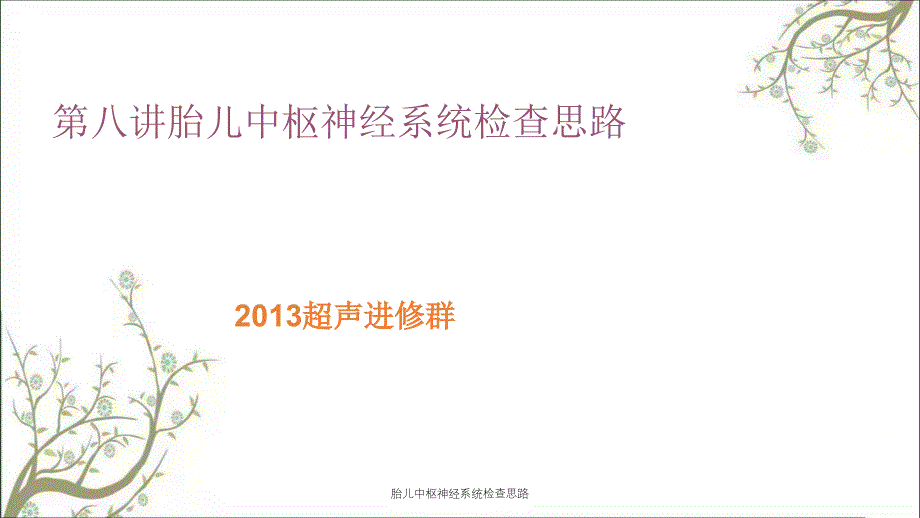 胎儿中枢神经系统检查思路课件_第1页