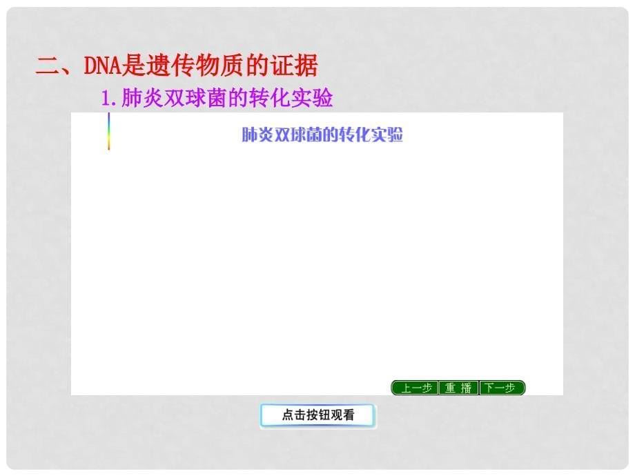 高中生物 第3章 第1节 DNA是主要的遗传物质同步授课课件 新人教版必修2_第5页