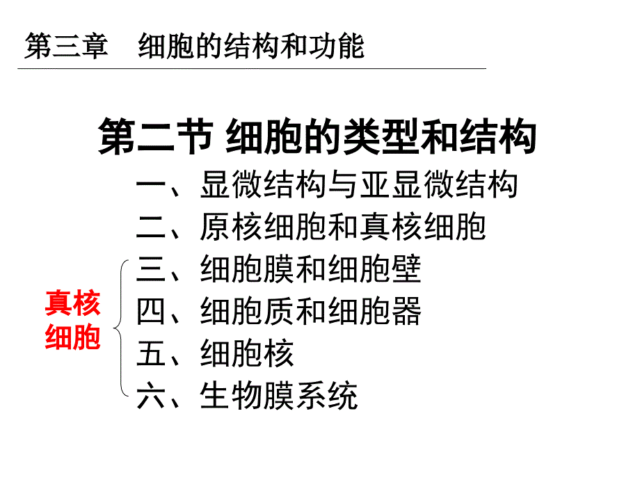 细胞器讲解一轮复习必修一_第1页