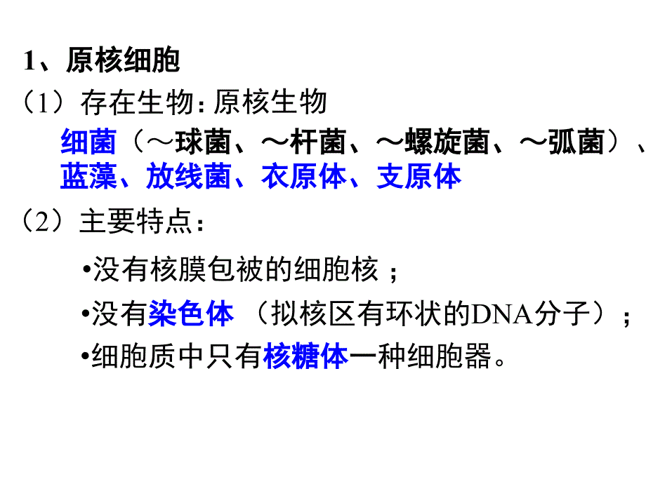 细胞器讲解一轮复习必修一_第4页