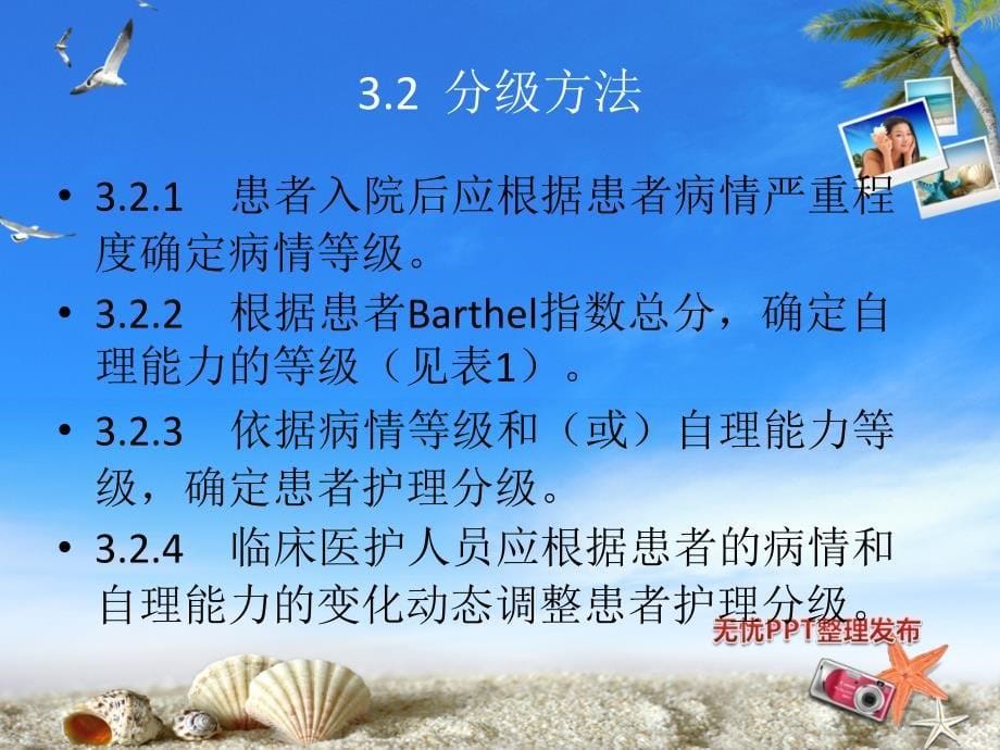 护理分级课件_第5页