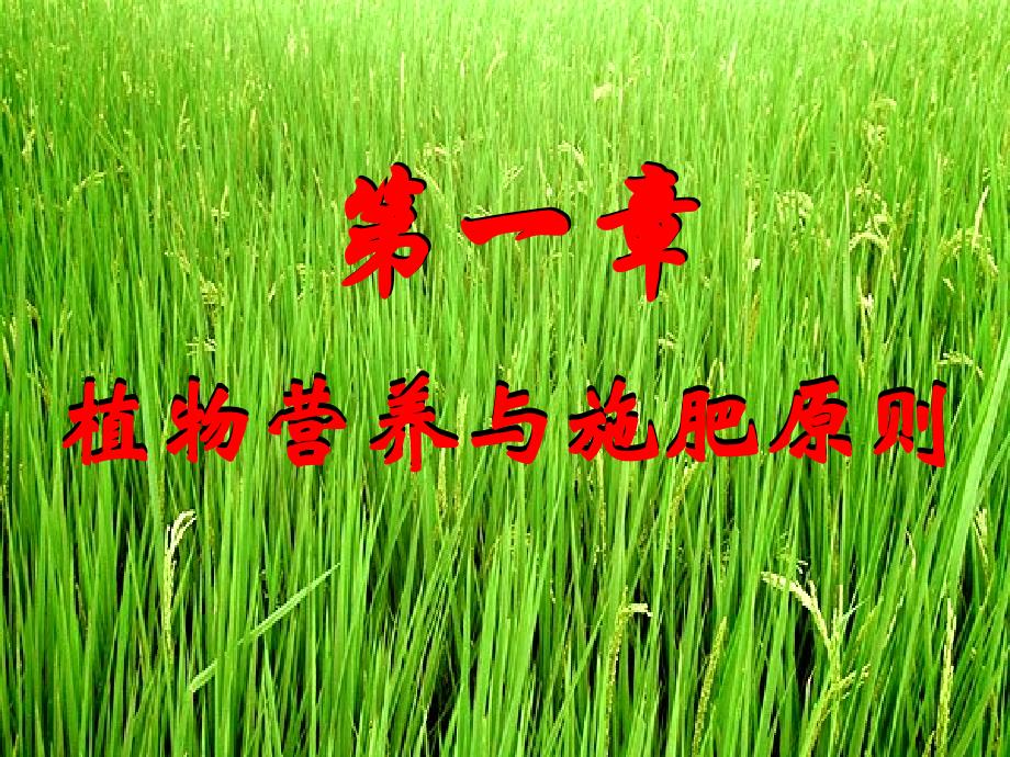 植物营养学.ppt_第1页