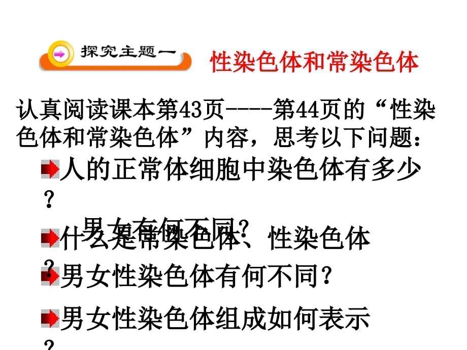 008-22.3 人的性别决定课件(苏教版)_第5页