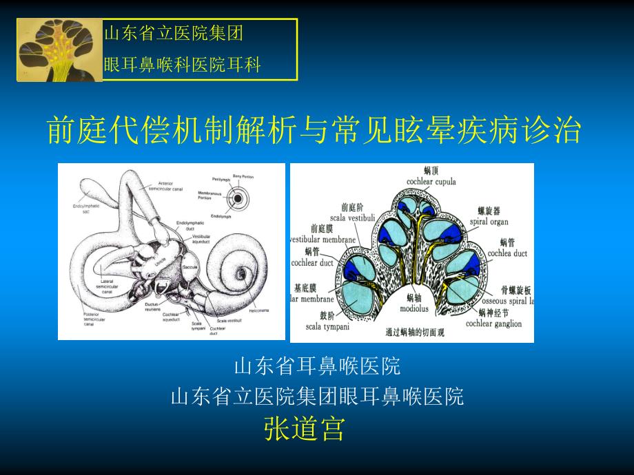 前庭代偿机制解析与常见眩晕疾病诊张道宫_第1页